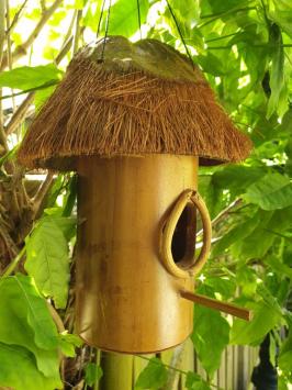 Vogelhaus, Bambus, Kokosnuss
