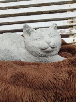 Tuinbeeld poes , chintia