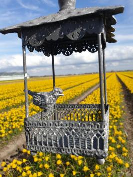 Prachtig metalen vogelvoerder huisje.