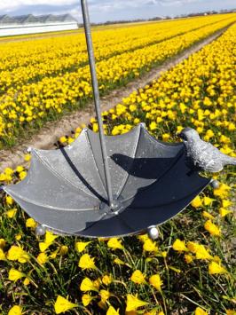 Vogel , vogelvoederbakje ,vogelbad