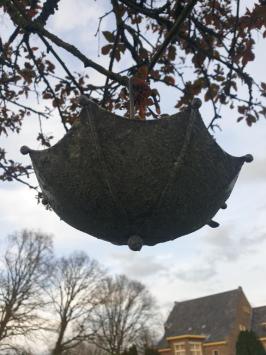 Vogel , vogelvoederbakje ,vogelbad