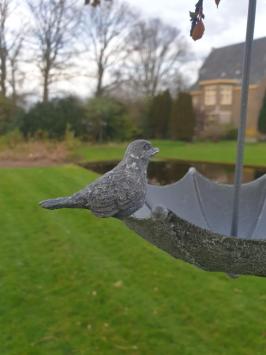 Vogel , vogelvoederbakje ,vogelbad