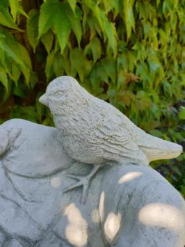 Wunderschöner Vogelfutterspender.