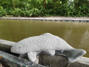 koi karper , tuinbeeld