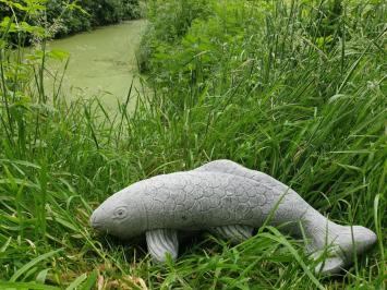 koi karper , tuinbeeld