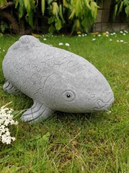koi karper , tuinbeeld