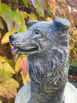 Tuinbeeld hond , sjors , hond, beton