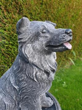 Tuinbeeld hond , sjors , hond, beton
