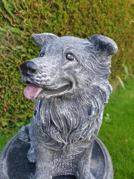 Tuinbeeld hond , sjors , hond, beton