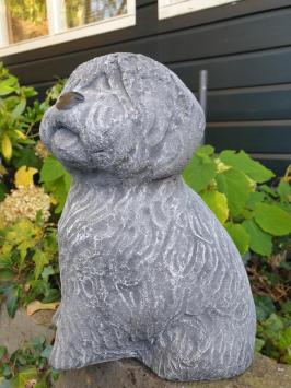 Tuinbeeld hond van beton , schapendoes