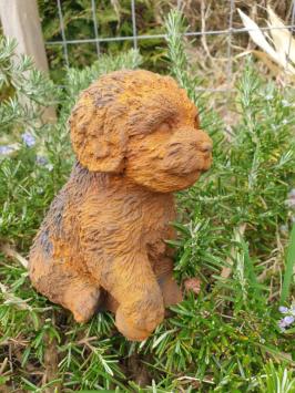 Tuinbeeld van een puppy hond