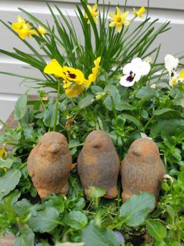 3 kuikentjes, kuiken , beton tuinbeeld