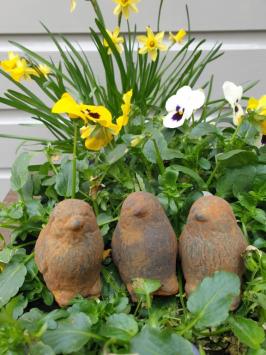 3 kuikentjes, kuiken , beton tuinbeeld