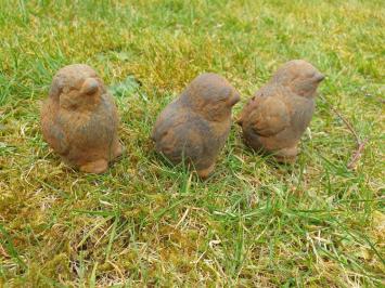 3 kuikentjes, kuiken , beton tuinbeeld