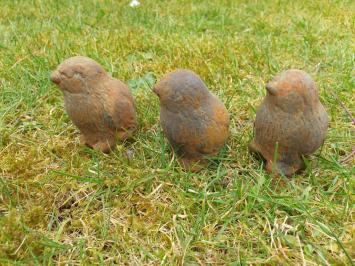 3 kuikentjes, kuiken , beton tuinbeeld