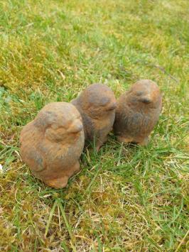 3 kuikentjes, kuiken , beton tuinbeeld