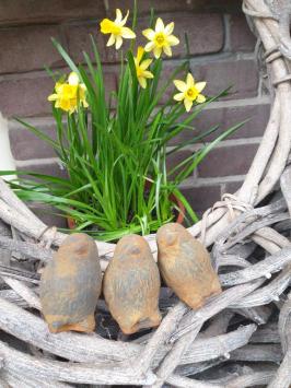 3 kuikentjes, kuiken , beton tuinbeeld