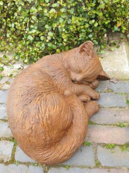 tuinbeeld poes