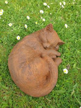 tuinbeeld poes