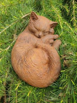tuinbeeld poes