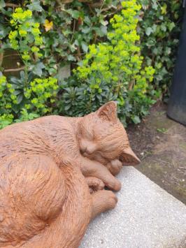 tuinbeeld poes