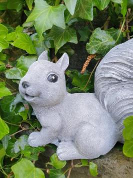 eekhoorn , tuinbeeld, lieve blijde eekhoorn