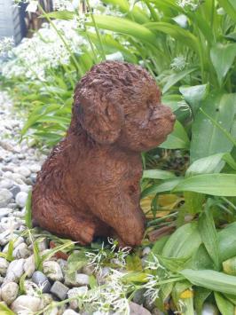 Tuinbeeld van een puppy hond