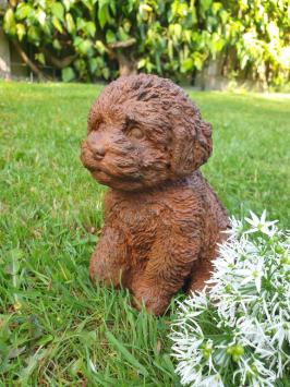 Tuinbeeld van een puppy hond