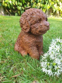Tuinbeeld van een puppy hond