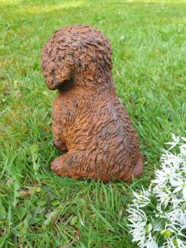 Tuinbeeld van een puppy hond