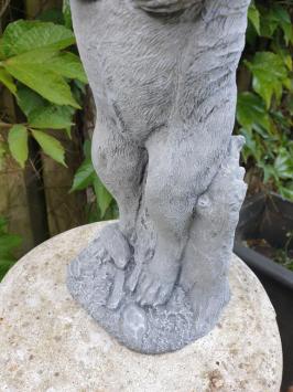 stokstaartje , tuinbeeld