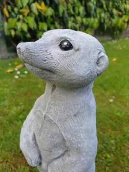 stokstaartje , tuinbeeld