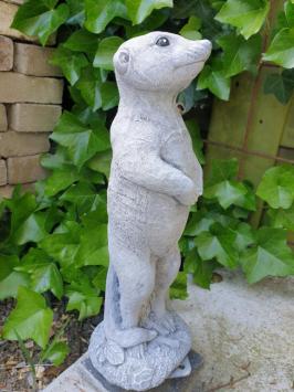 stokstaartje , tuinbeeld