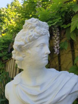 Büste Statue, David