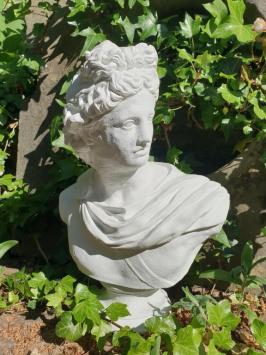 Büste Statue, David