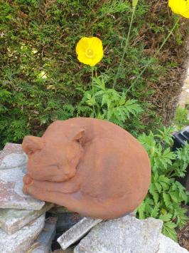 kat ,poes , tuinbeeld charlot