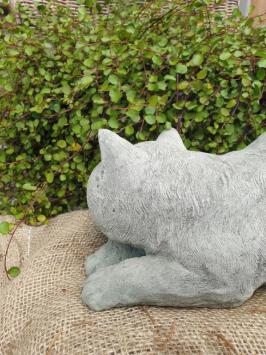 Gartenstatue einer Katze, Gänseblümchen
