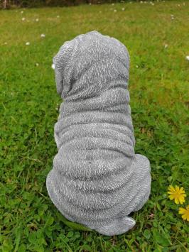 puppy hond , shar-pei
