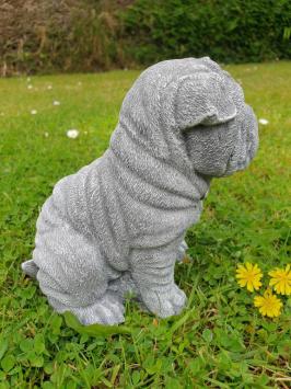 puppy hond , shar-pei