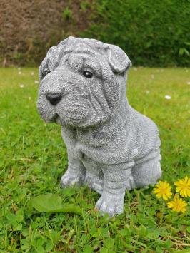 puppy hond , shar-pei