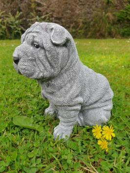 puppy hond , shar-pei