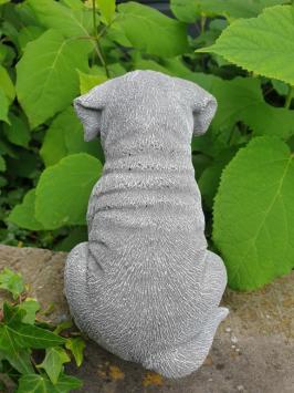 Boxer hond , puppy tuinbeeld
