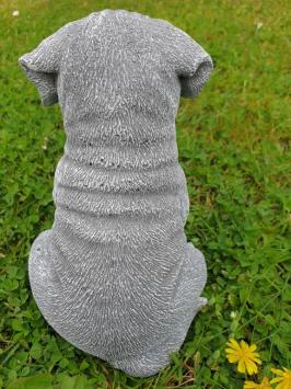 Boxer hond , puppy tuinbeeld
