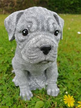 Boxer hond , puppy tuinbeeld