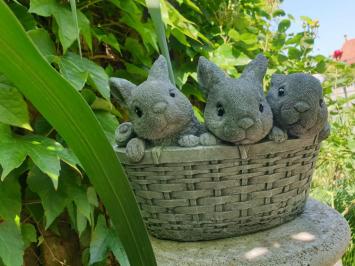 plantenbak, bloembak met 3 schattige konijntjes