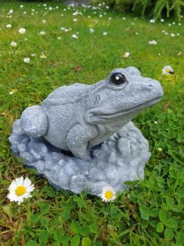 tuinbeeld van een kikker , kikker