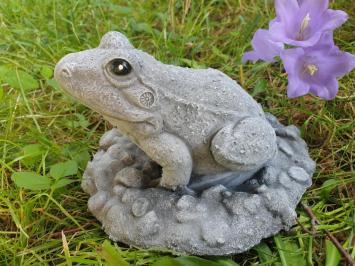 tuinbeeld van een kikker , kikker