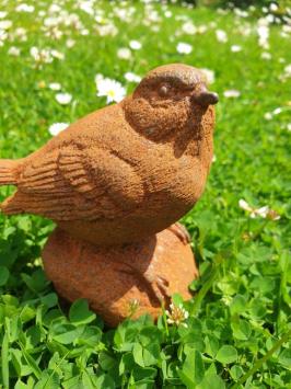 cast iron sparrow, bird, garden statue