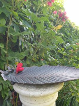 vogelvoederbak