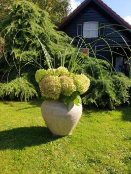 Landelijke vaas , kruik